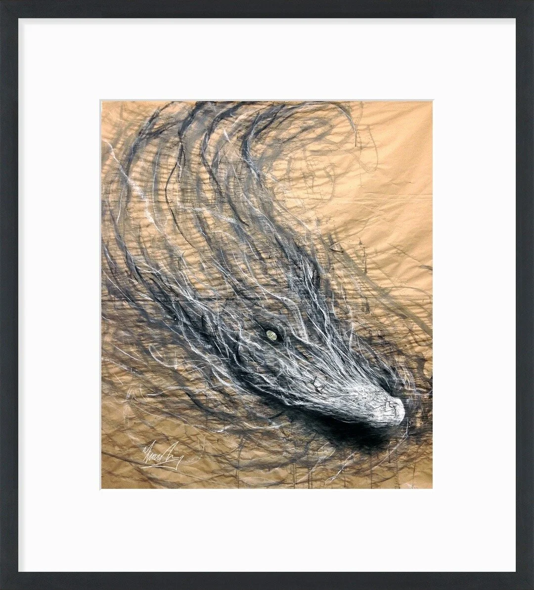 Saltwater Crocodile.JPG
