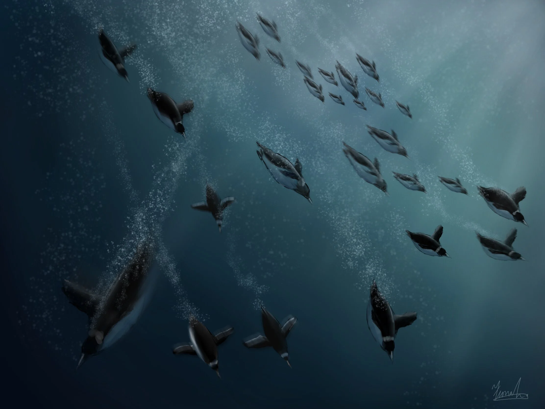 Diving Penguins