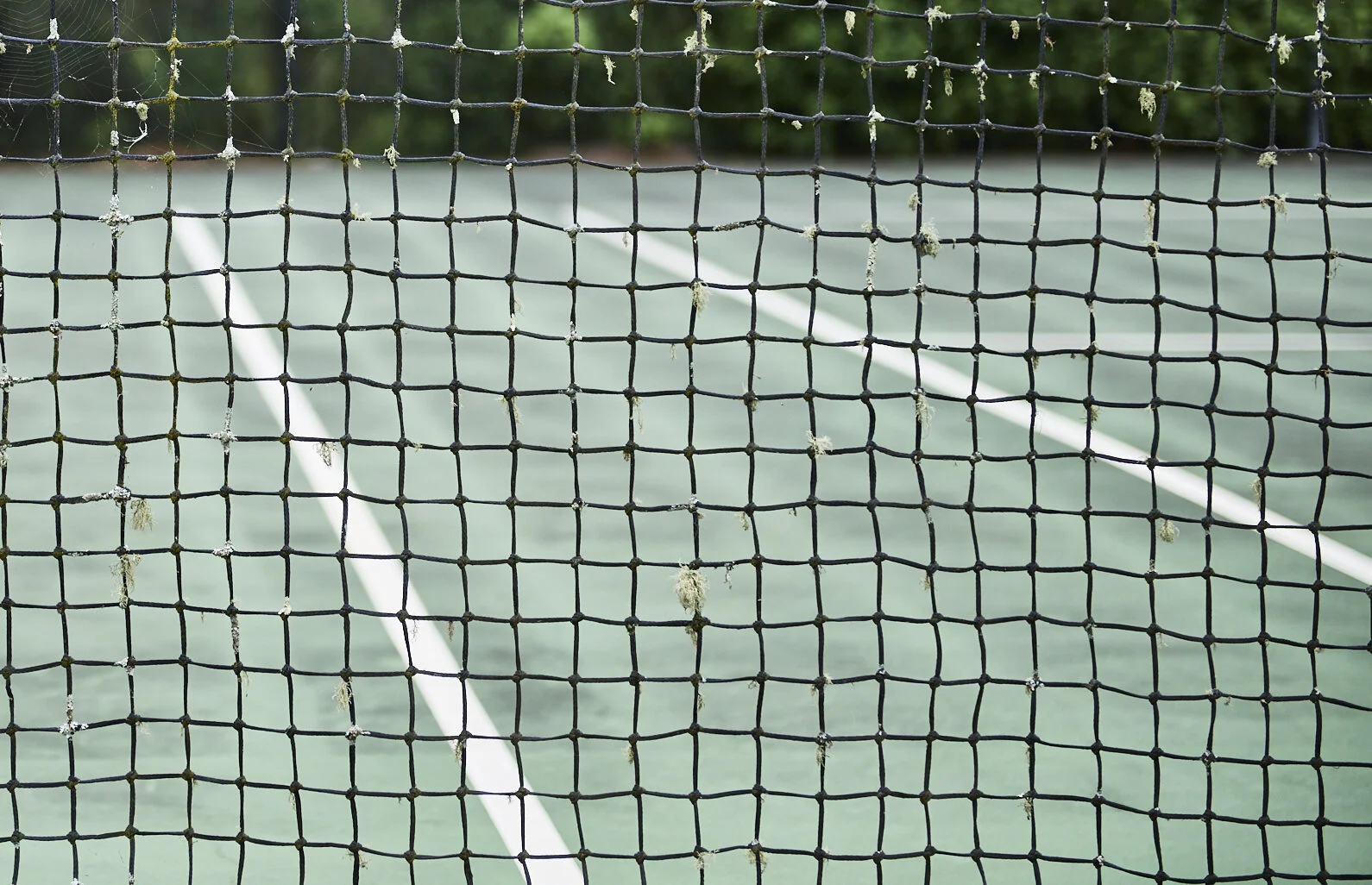 MIchelle's Tennis Court  5433.jpg