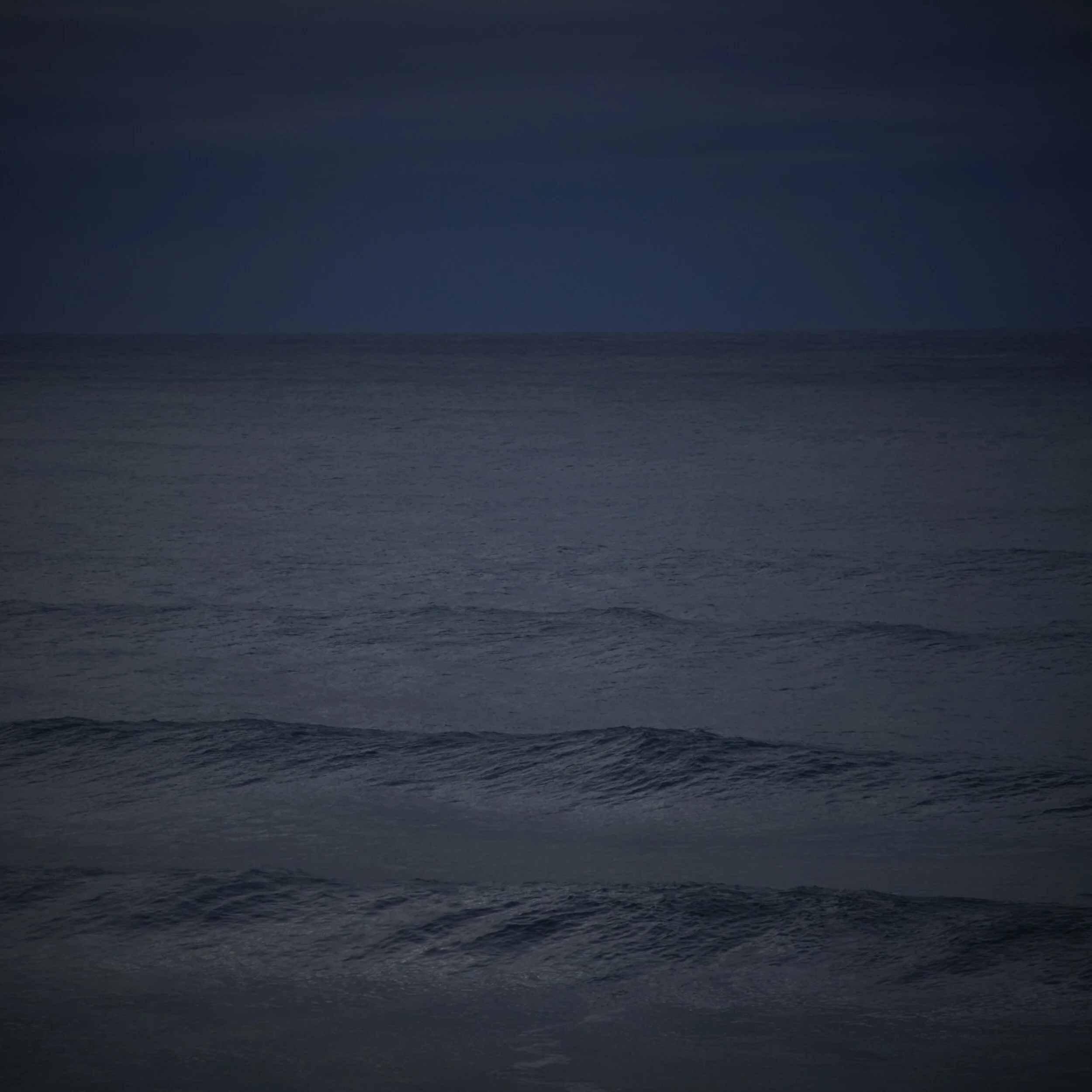 Moody Worriewood  5422.jpg
