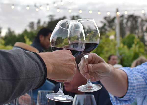 taste-wines.jpg