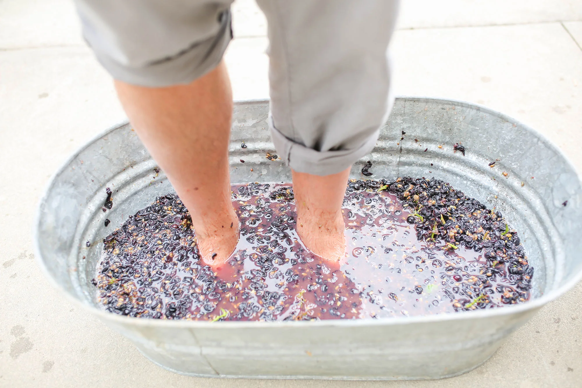 grape-stomp.jpg