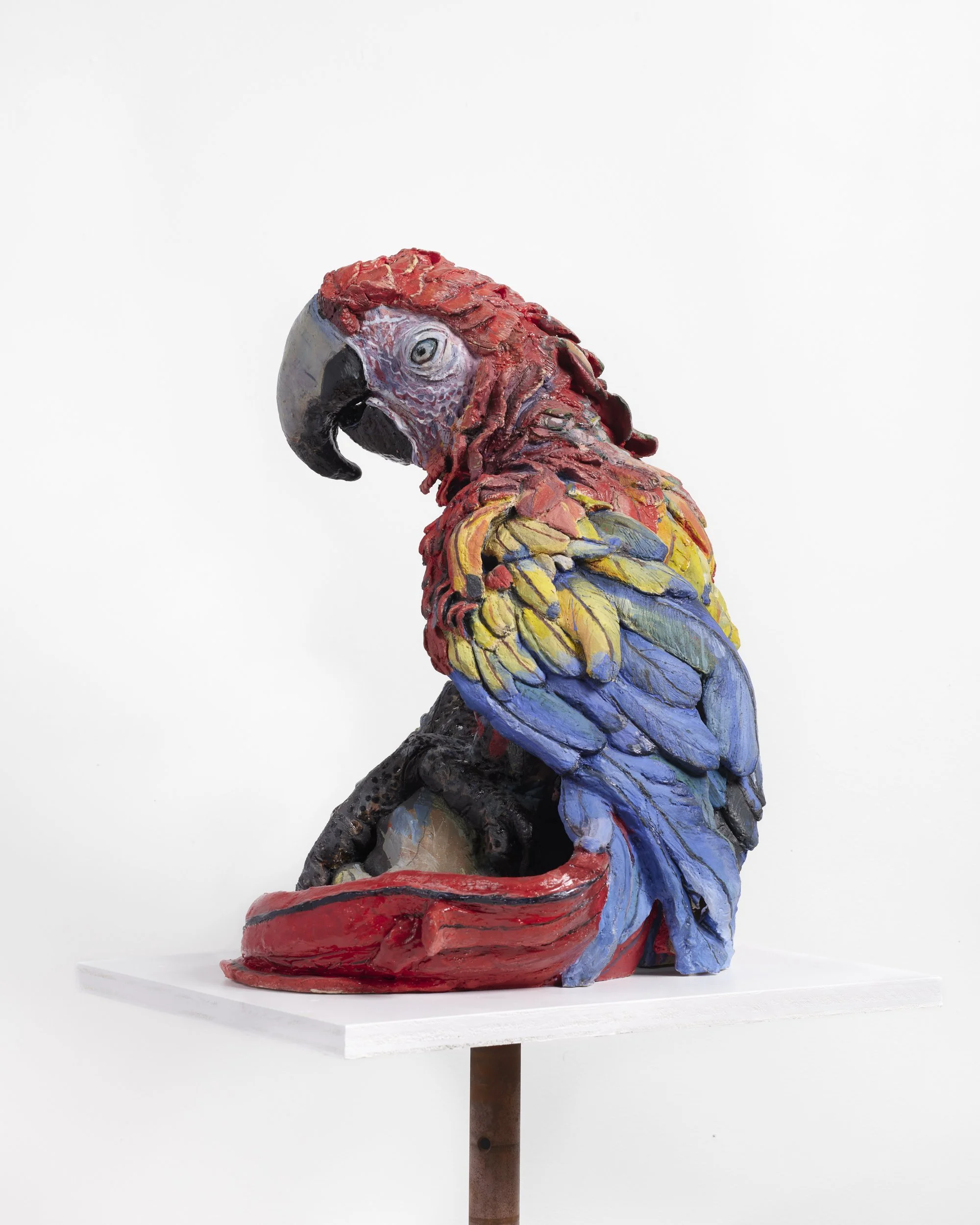 Jenny Toth_8328_2500px_240dpi.jpg