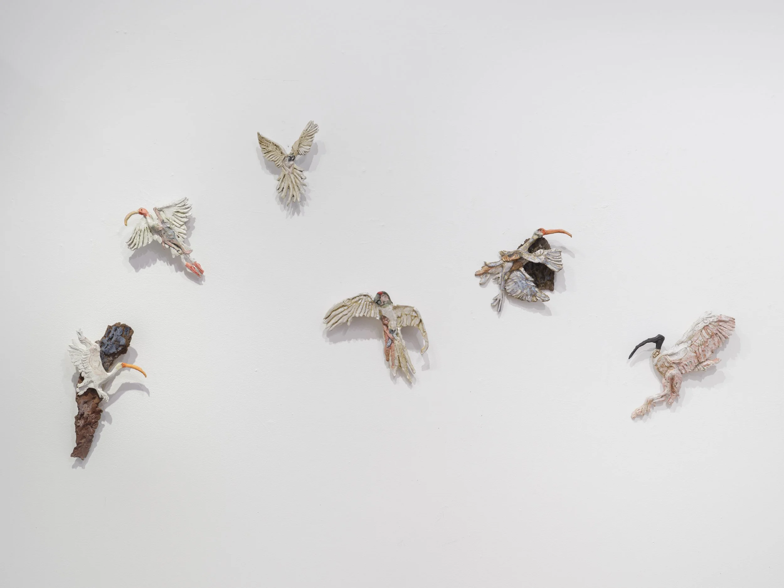 Jenny Toth_8070_2500px_240dpi.jpg