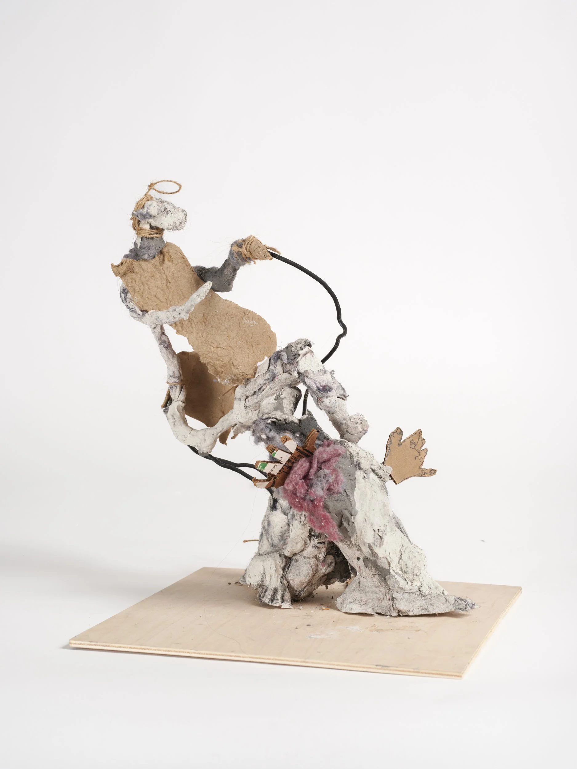 Jenny Toth_8225_2500px_240dpi.jpg