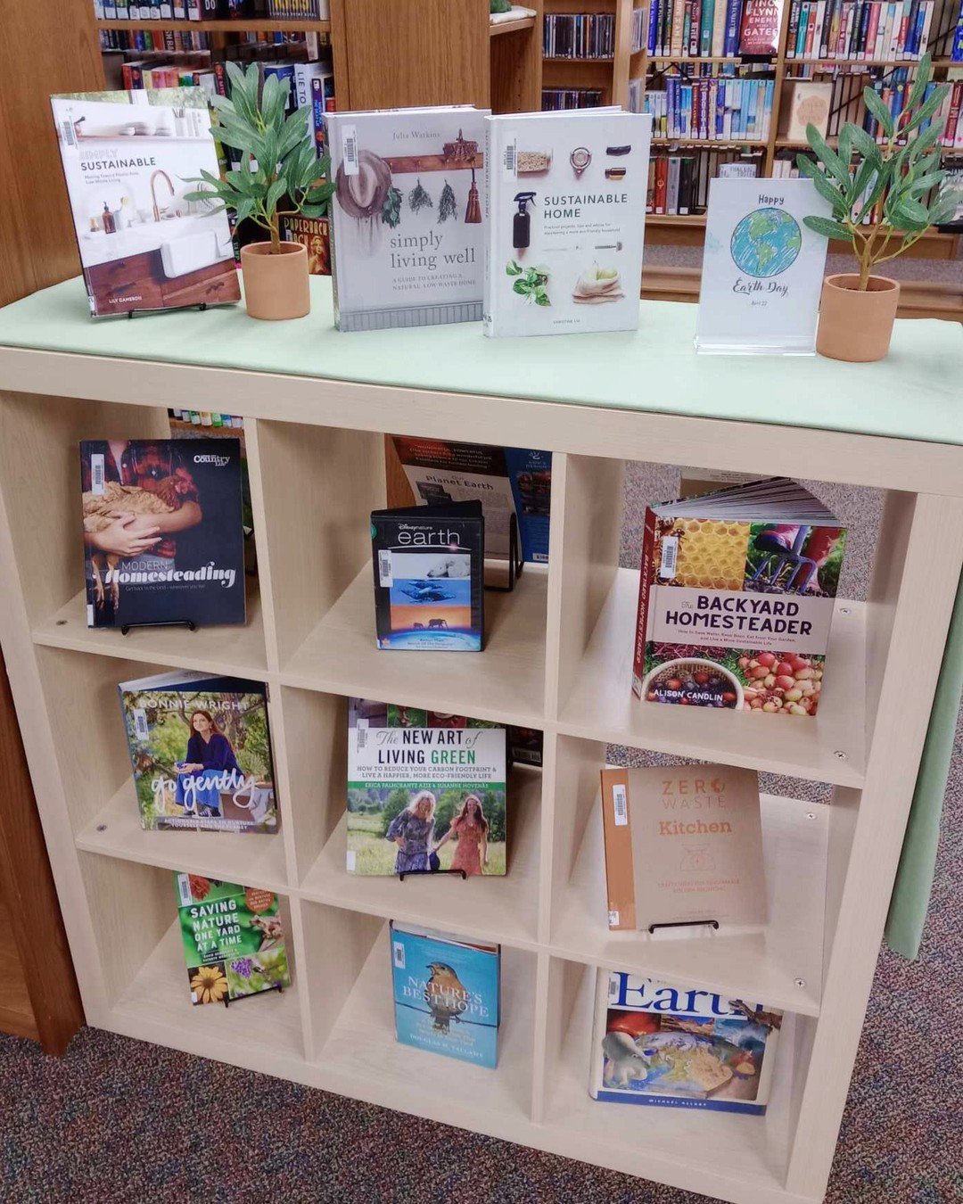 Earth Day is Monday April 22nd!🌎

#earthday #library #libraries #librarybooks #nonfiction #read #reading #books #book #bookdisplay #michiganlibrary #michiganlibraries #librariesofmichigan