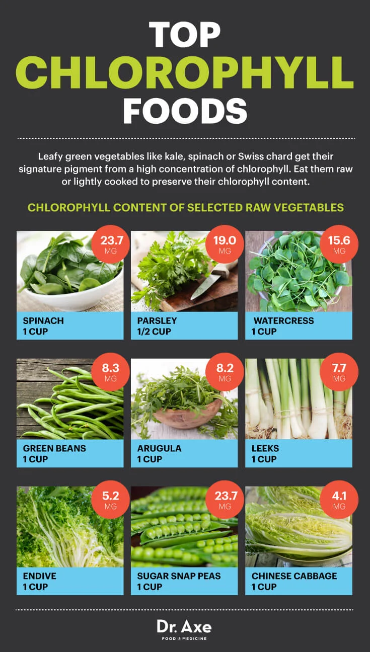 ChlorophyllGraphic2.jpg