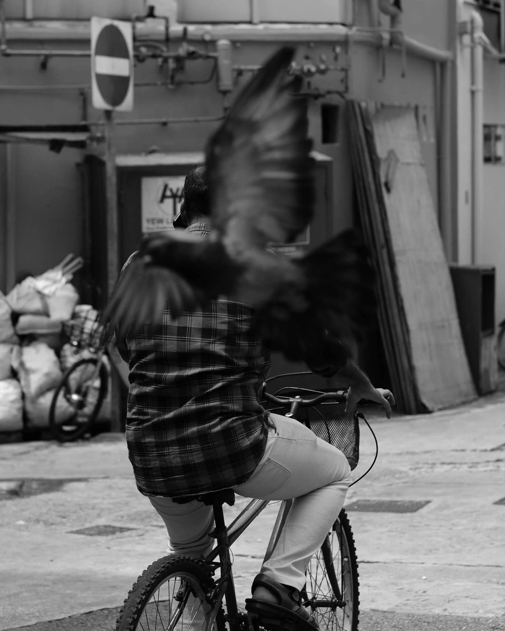 DSCF7653.jpg