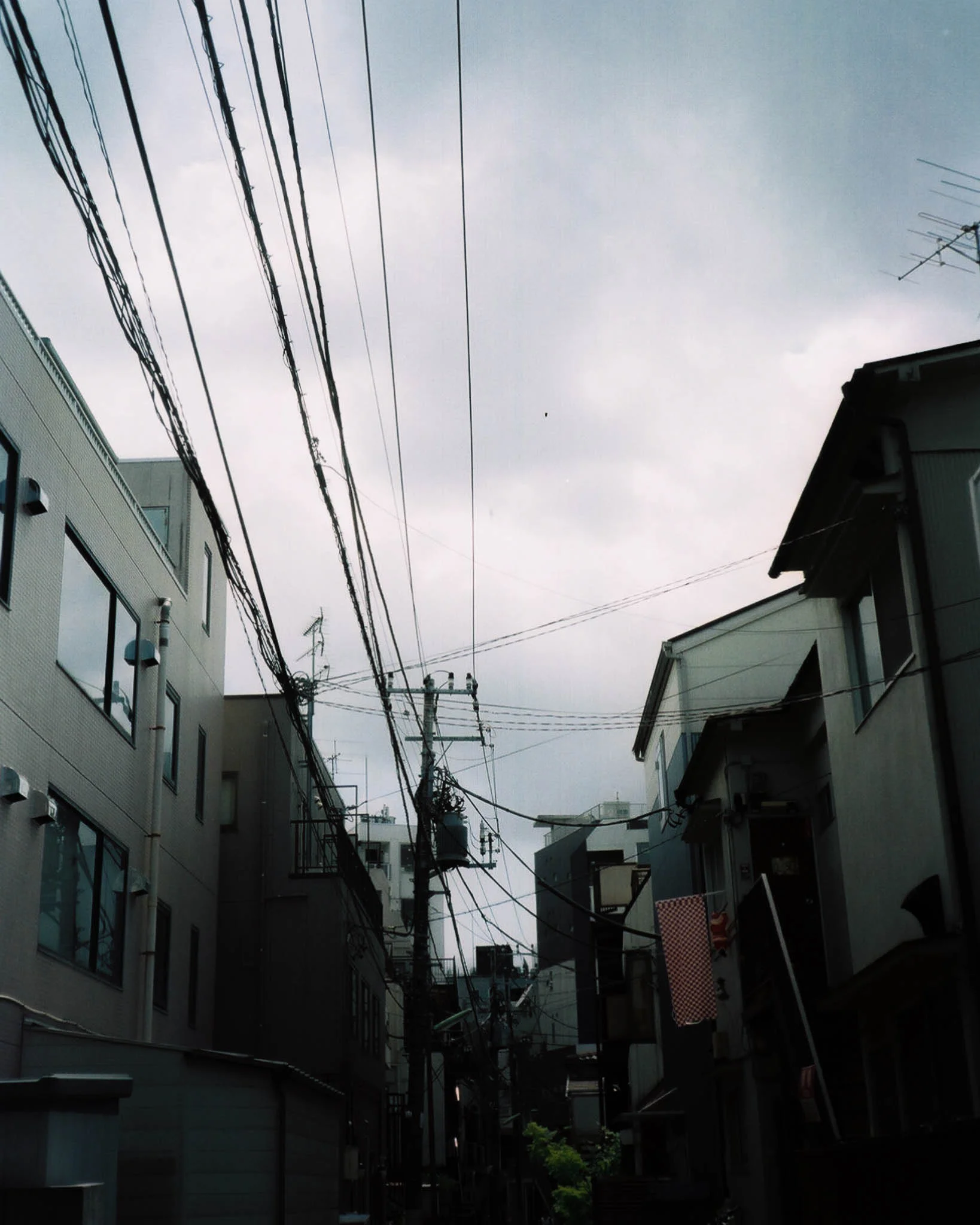 005330_005330-R1-017-7.jpg