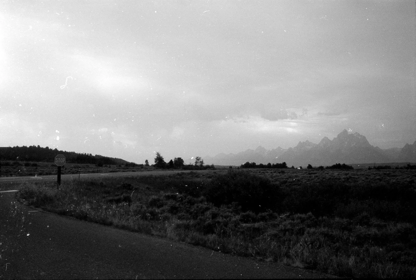 img213.JPG