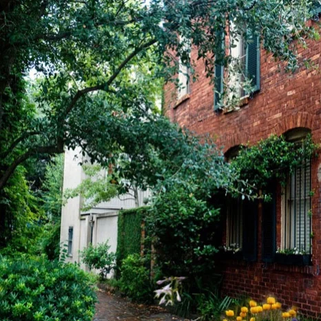 tattnall-street.jpg