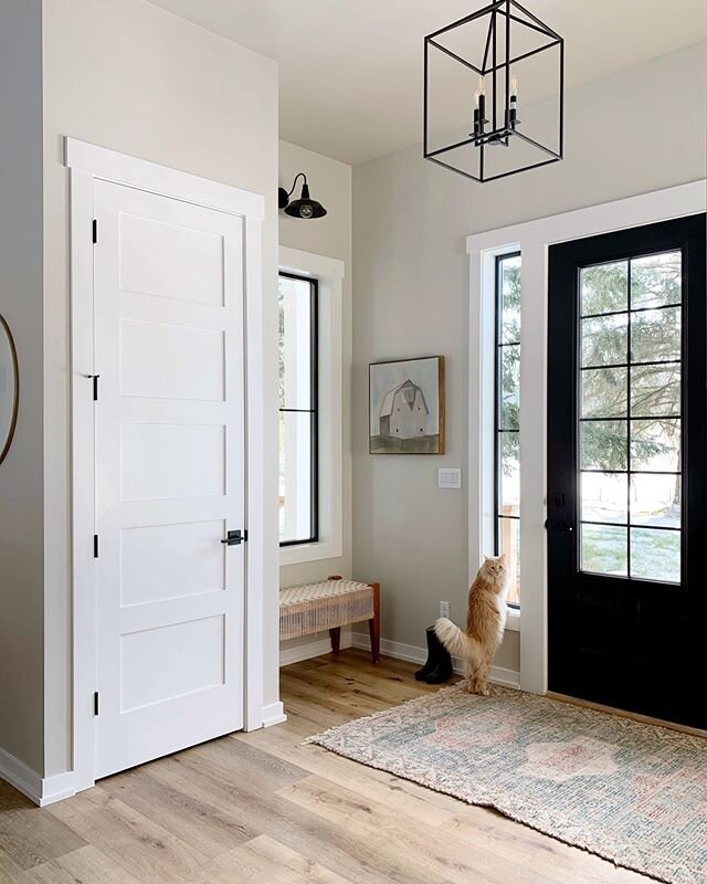 Sorry Beni, doesn&rsquo;t matter how long you look, it&rsquo;s still Monday. (Editor&rsquo;s note: he was not in fact looking for a different day of the week, he&rsquo;s a cat, he was looking for birds.) .
.
.
#foyer #entrywaydecor #mainecoon #frontd