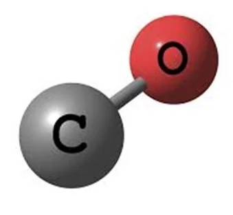 Carbon monoxide story 1.5:  Human Ethics