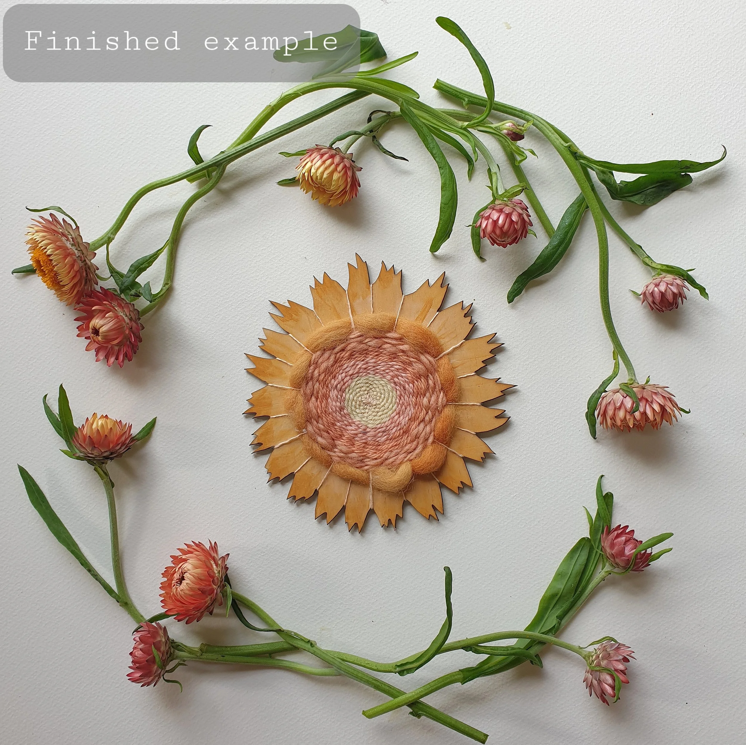 Paper Daisy, Small:  Hand-painted Australian Native Flower Weaving Kit