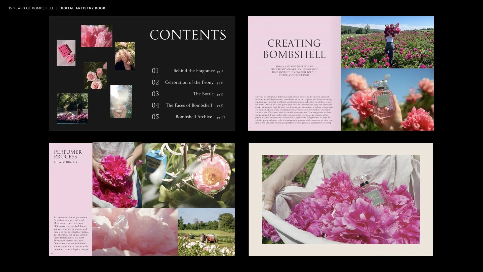 SP25 VSB Bombshell GTM V2.032.jpg