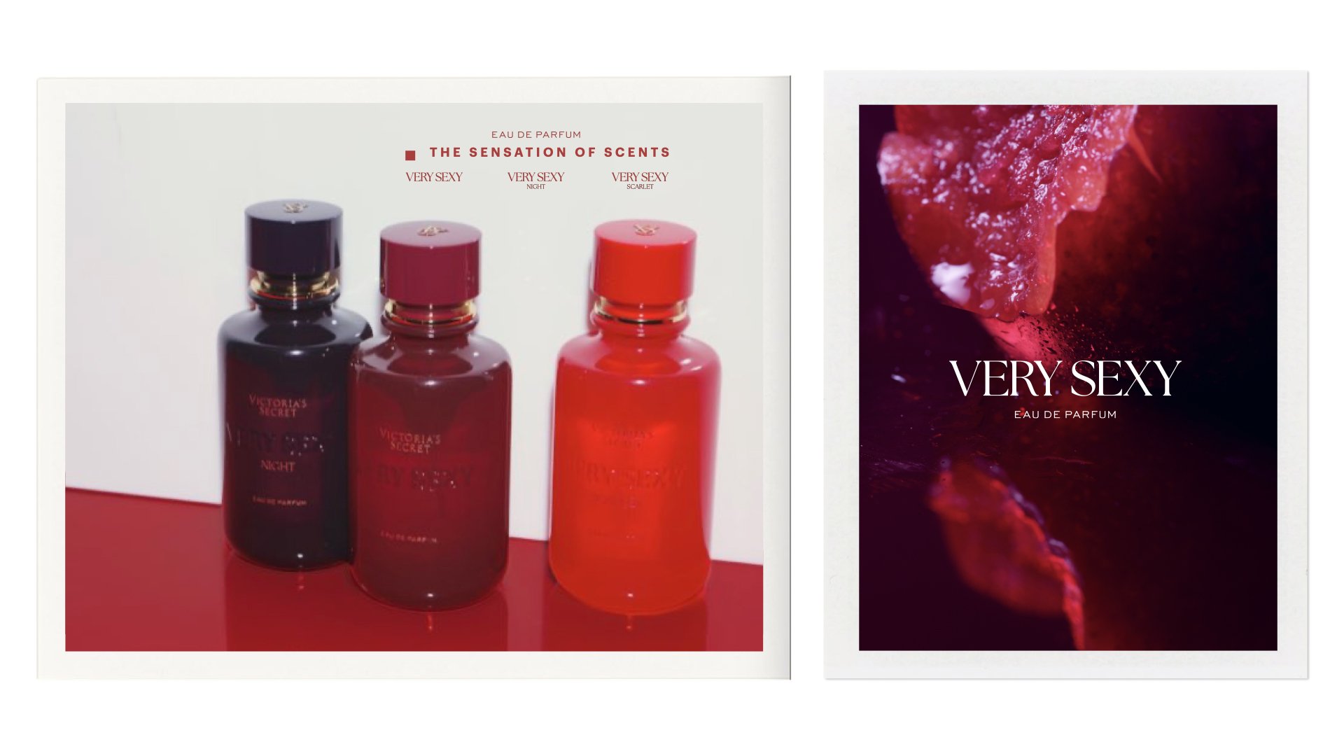  Lead campaign concept • On-set photo still life director • Designer 