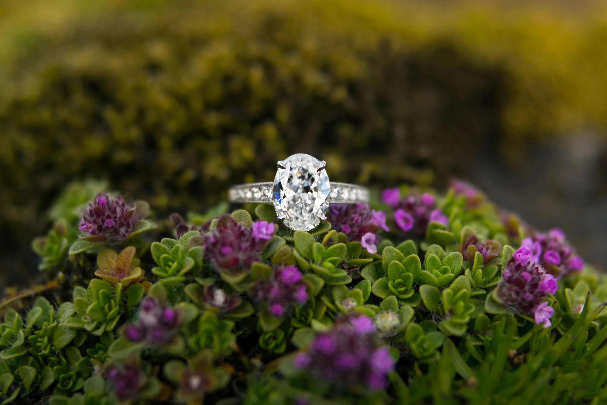 (Photo: Arctic Weddings Iceland)