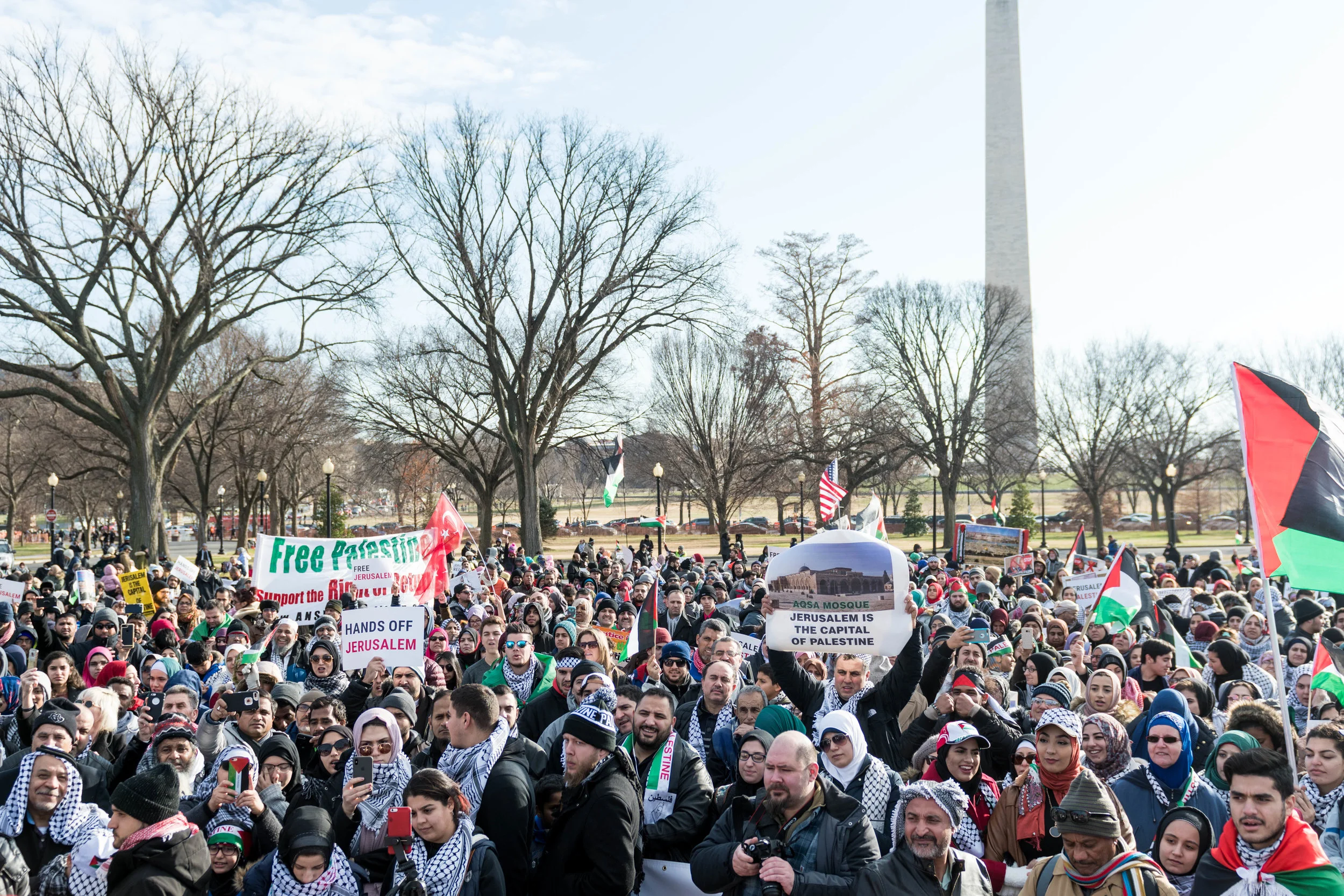 DC-protest-3.jpg