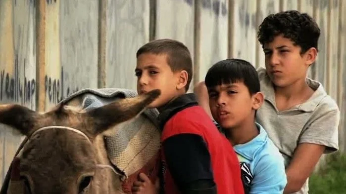 Palestinian Film Recommendations