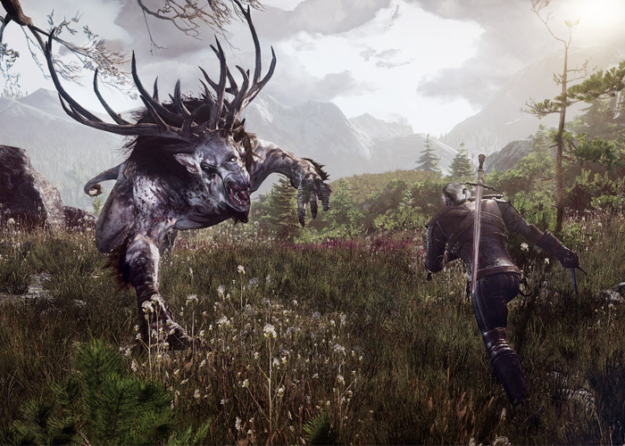 Witcher_HEADER.jpg