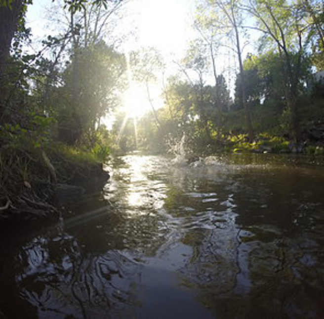water&light_HelenBoland.png