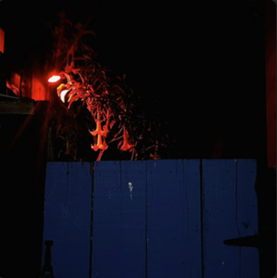 an introductory jazz playlist