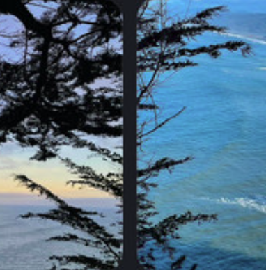 &amp; they tore herself in half, again