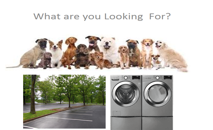 combined Pets parking laundry.png