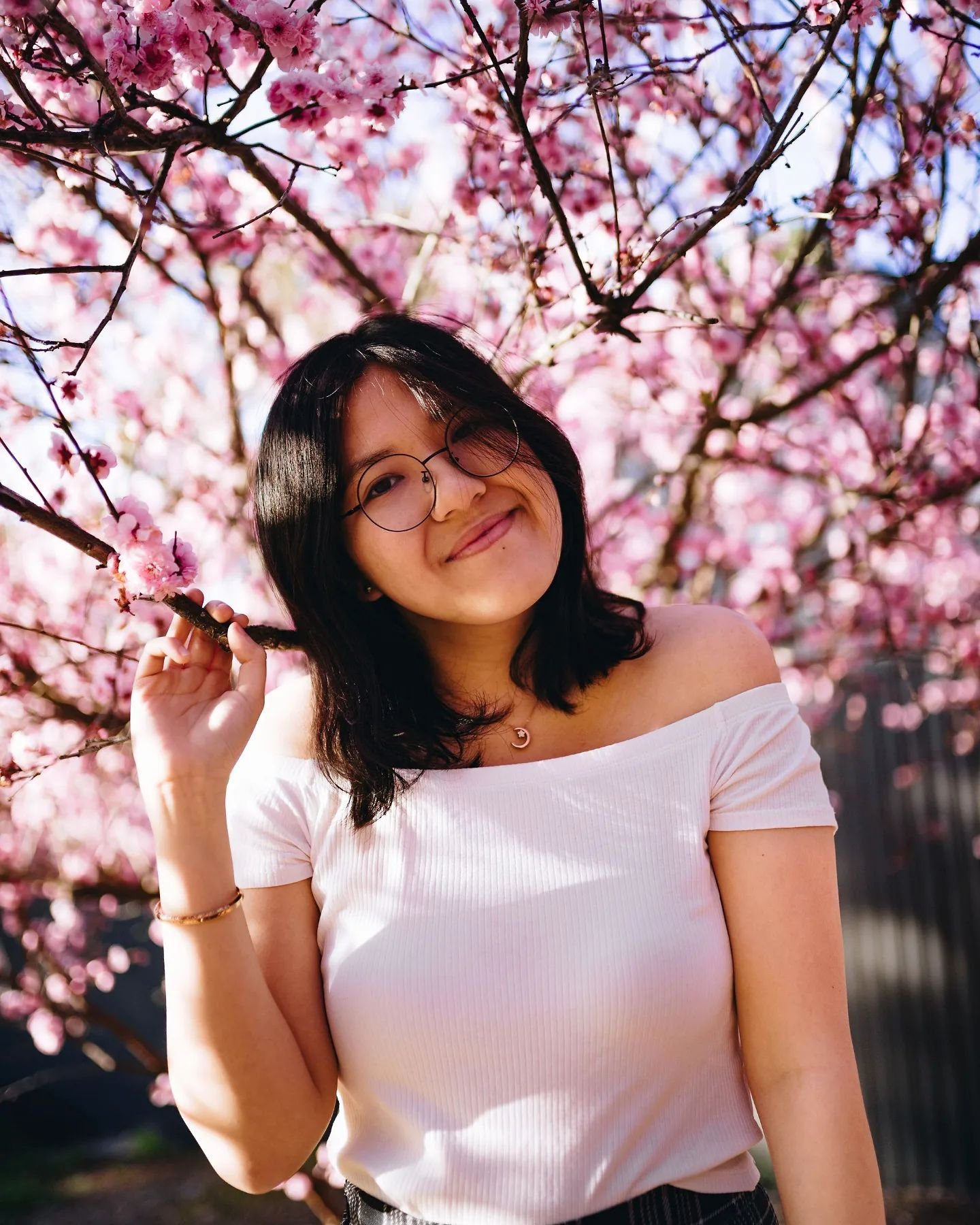 Is it cherry blossoms season in Japan yet? 🌸