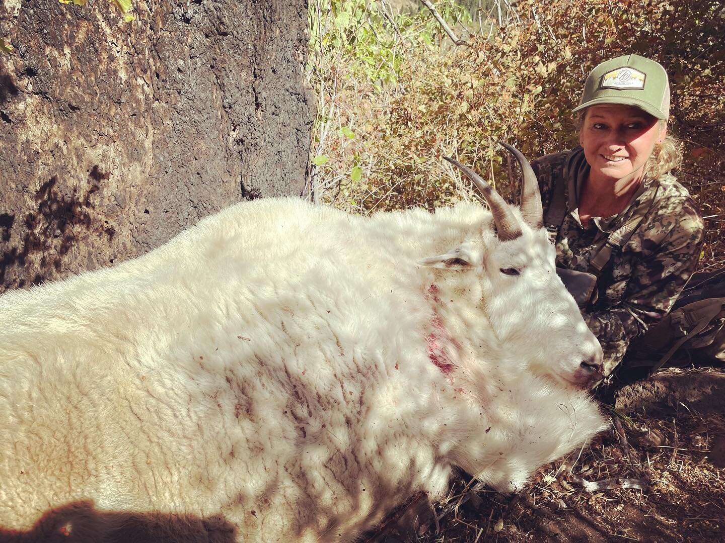 2022 tag holder success! Candy Y. Harvested this great mountain goat in the S. Wallowa unit. She mentioned photos on the mountain were tough as the mountain they were on was so steep! Congratulation Candy! We are so happy for you and can&rsquo;t wait