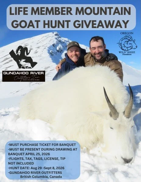 We are giving away another mountain goat hunt to a life member who is registered and in attendance at our banquet on April 25th! One more reason to get registered and ensure you are a life member with OR WSF! Link in our bio for banquet information. 