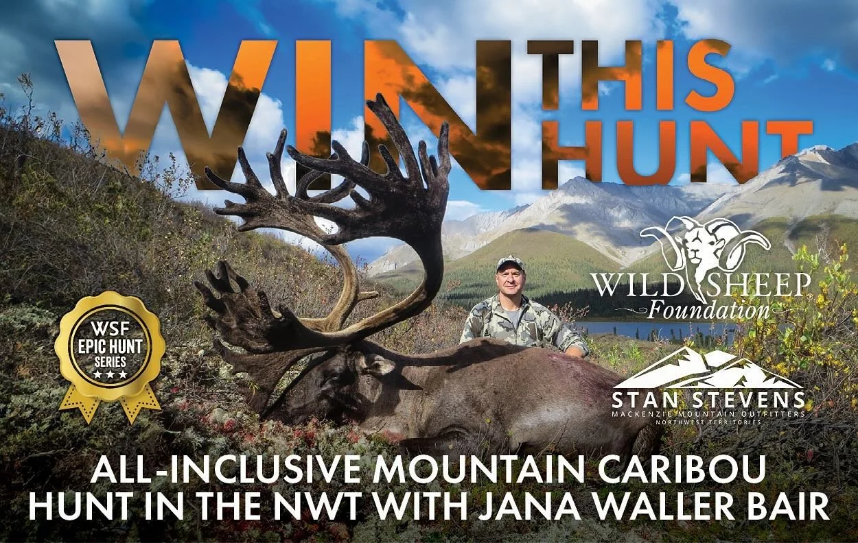 WILD SHEEP FOUNDATION EPIC HUNT SERIES: MOUNTAIN CARIBOU IN THE NWT
Support wild sheep conservation, plus have a chance to WIN an all-inclusive, fully guided Mountain caribou hunt in the NWT in 2025 with Jana Waller Bair and Stan Steven&rsquo;s Macke