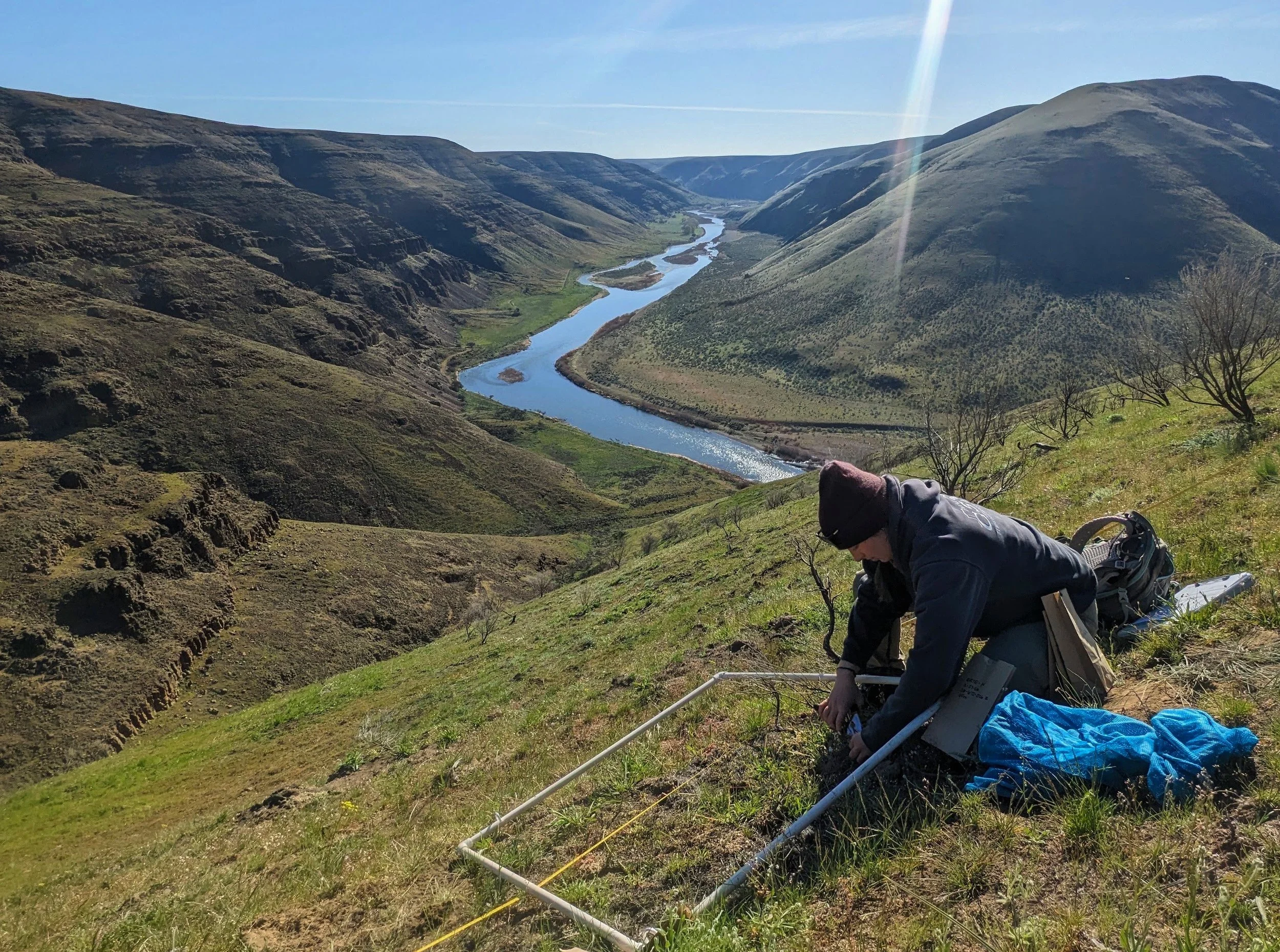 means-vegetation-sampling.jpg