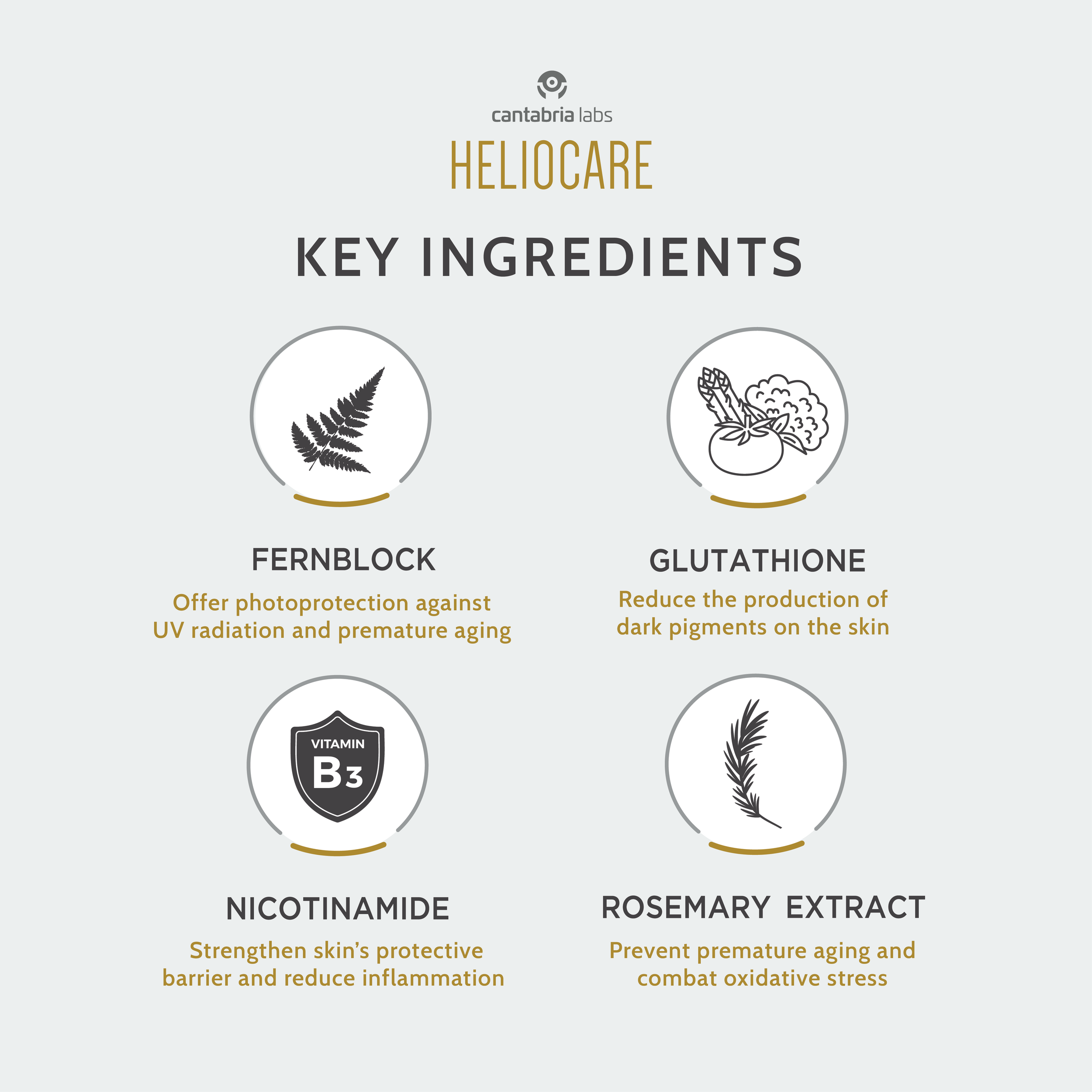 Heliocare Luminance-05.png