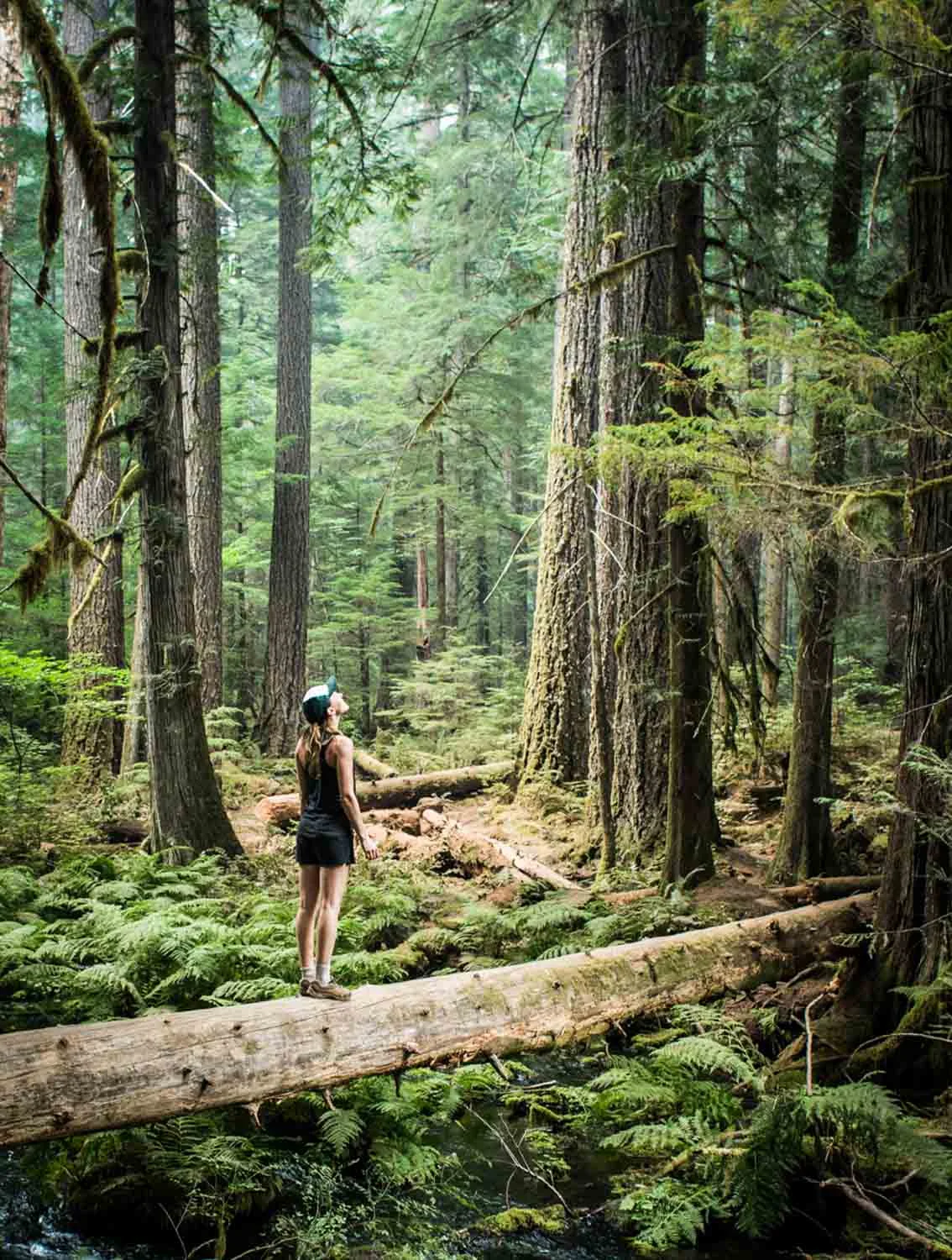MN_PORTFOLIO-41 Trees Forest Oregon_Web_Res.jpg