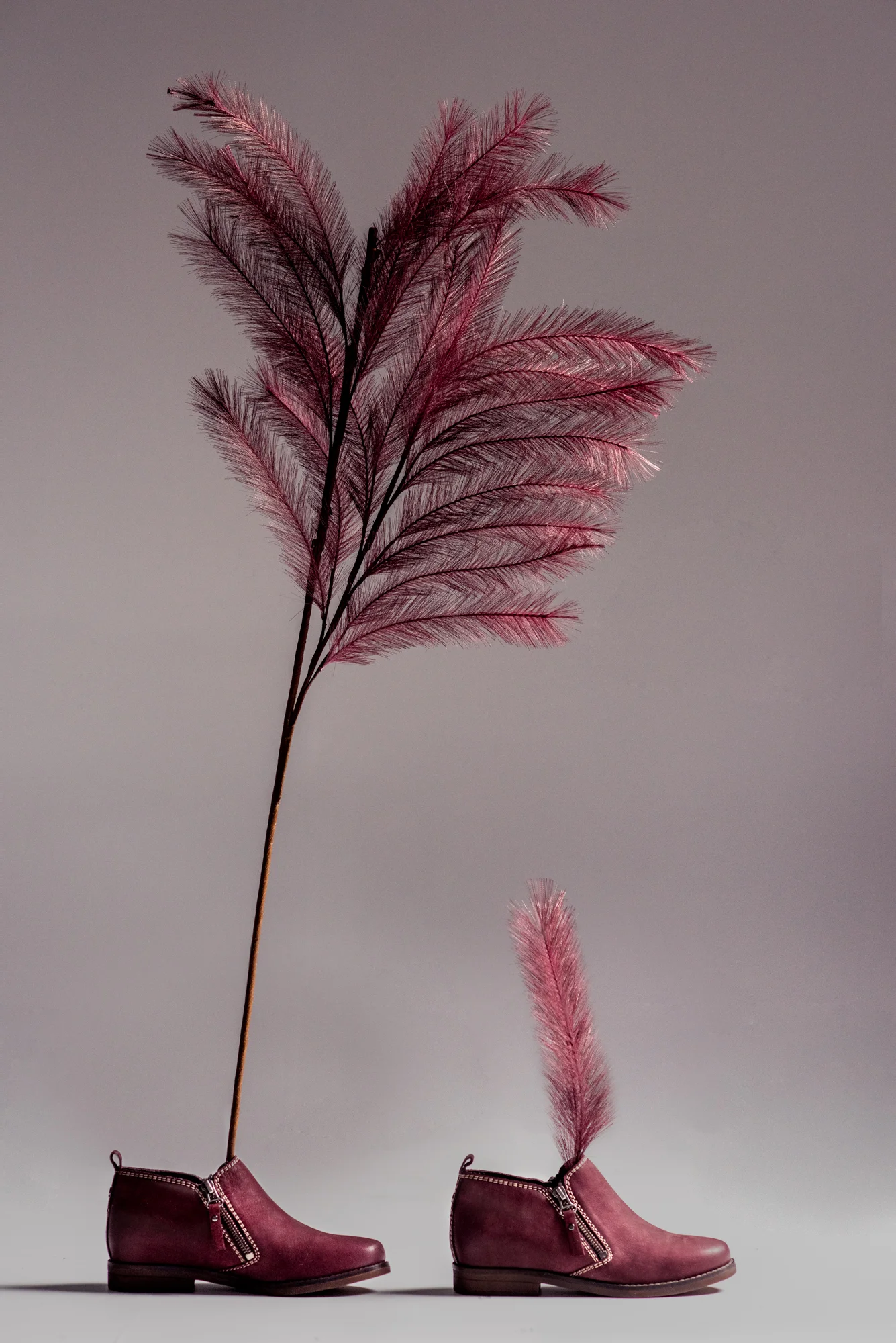 Burgundy_Flare_MNP_Han_NOS_June2019_3996_Edit.jpg