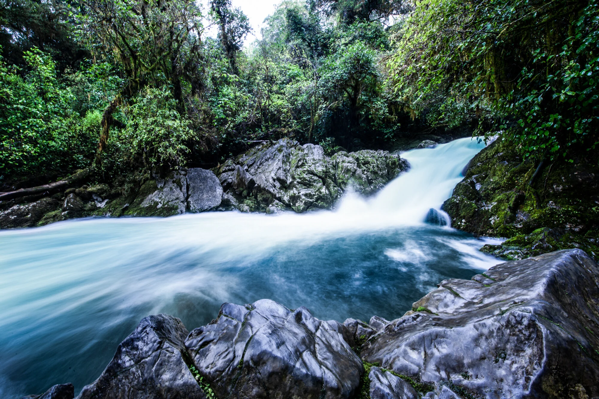 DSC_1133-Edit.jpg