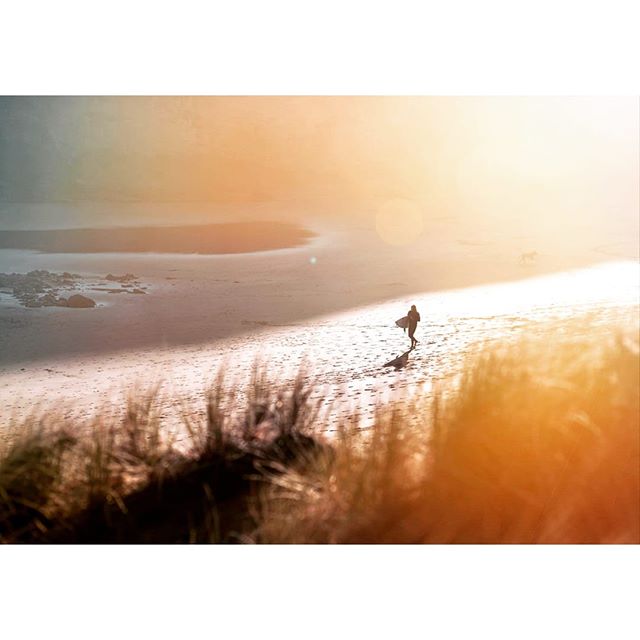 Coming back from a surf at O'Neill Bay, the mist plays with the shadows from the seaside cliffs, create an interesting path of light between Te Henga and the ricky outcrops.
.
.
.
.
.
.
.
.
.
.
.
#surfersparadise #surfphotography #sunsetsurfing #newz