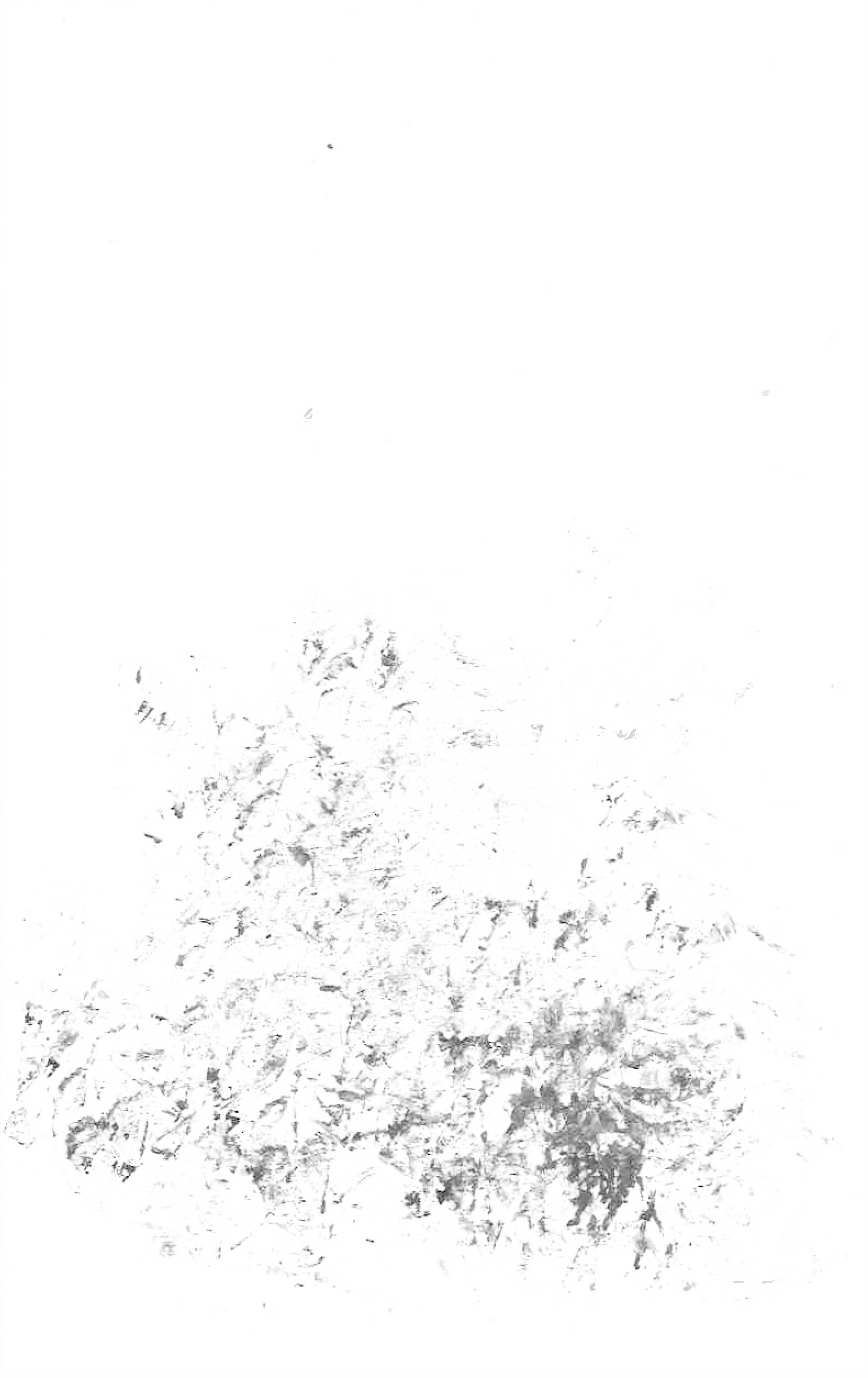 41.png