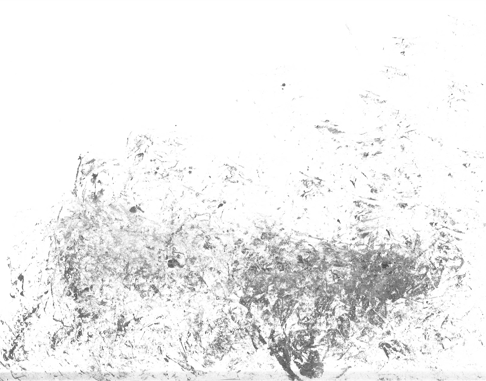 47.png