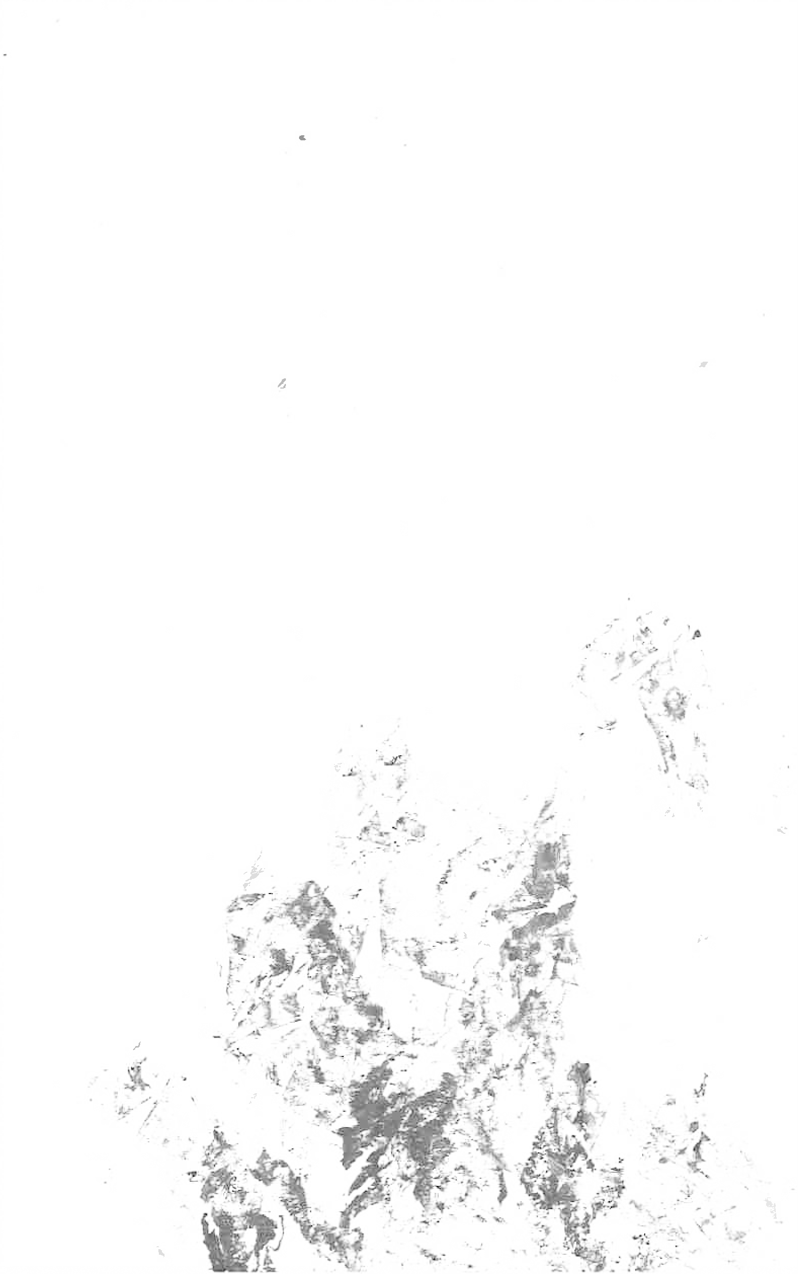71.png