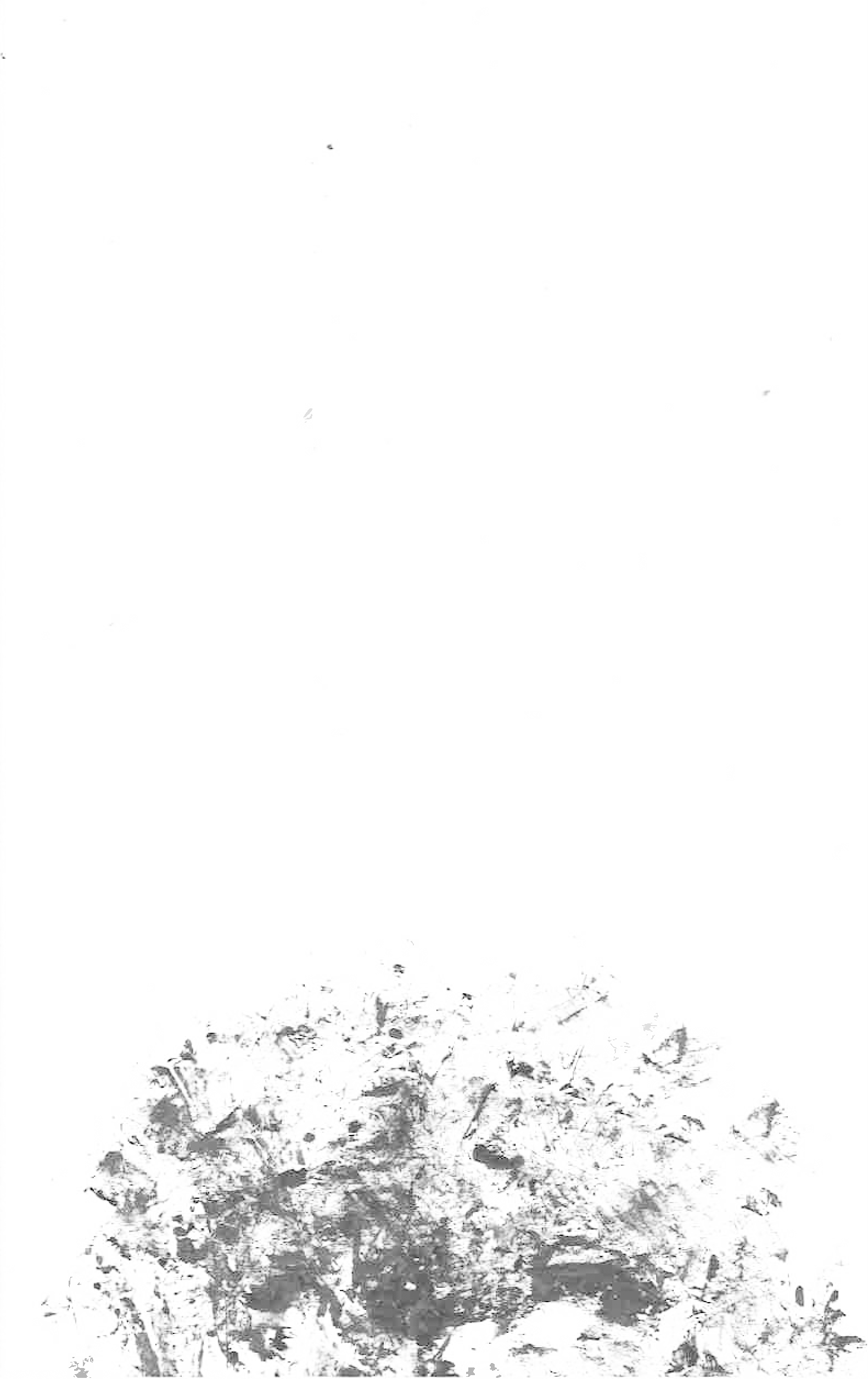 89.png