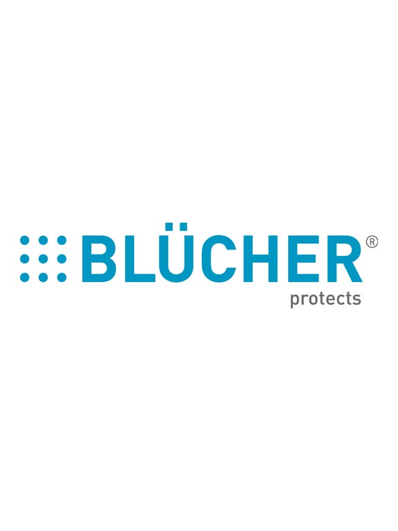 blucher-logo.jpg