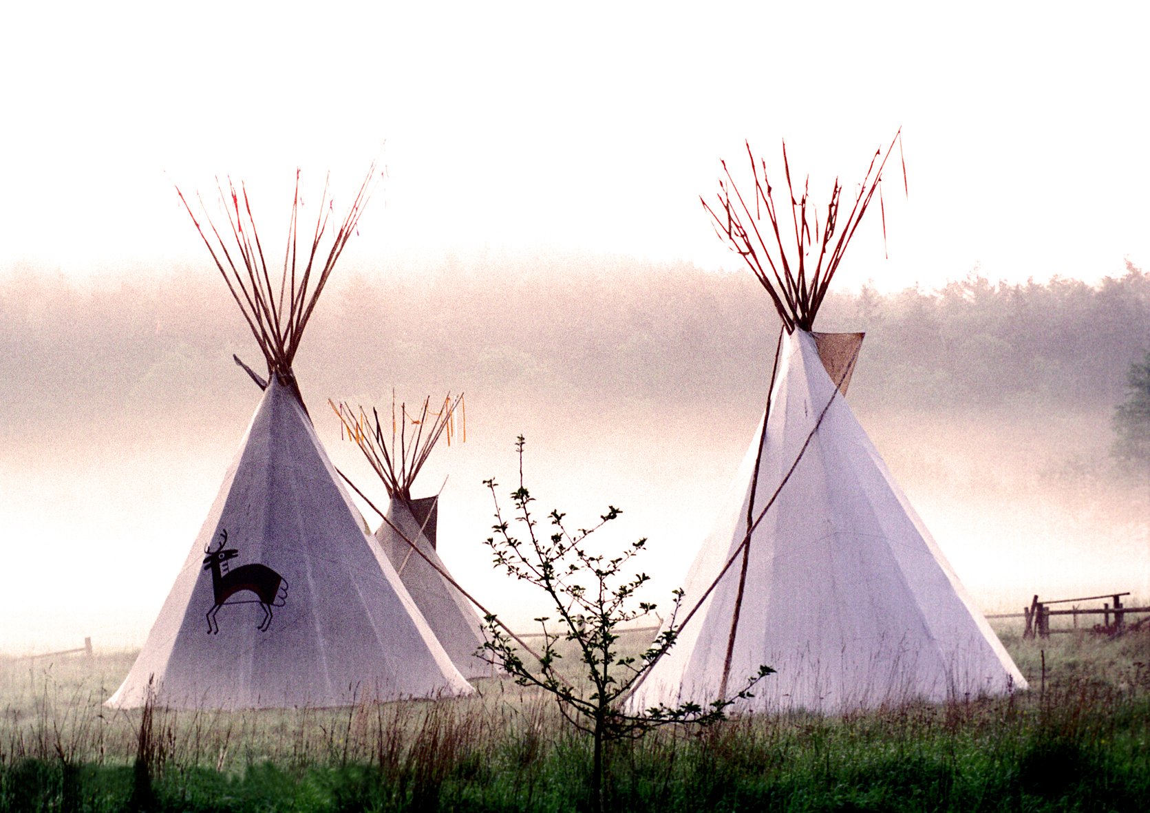 Tipis Morgennebel.jpg