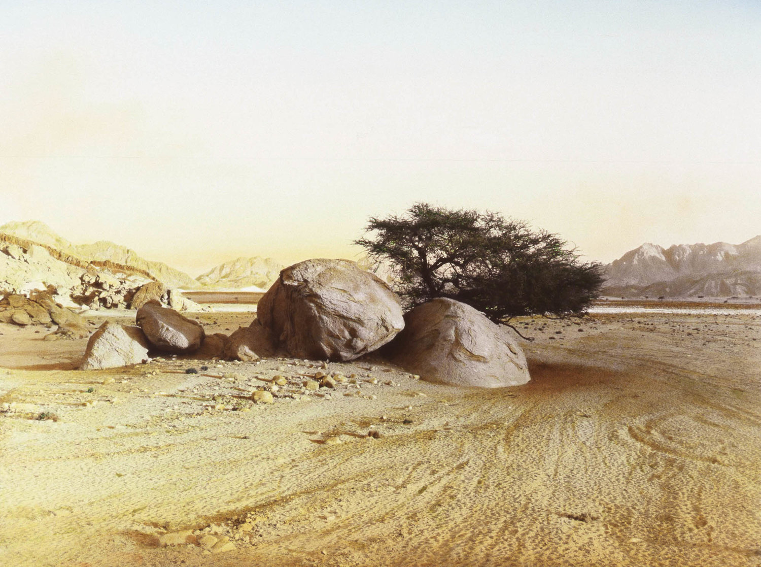 Barry+Iverson,+Two+boulders+and+tree,+Wadi+Masar,+South+Sinai,+1995.jpg