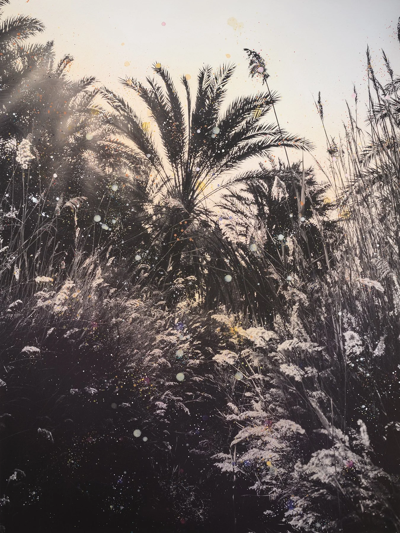 Beauty and Sadness of Saltwater Flood #4 108 x 81 cm.jpg