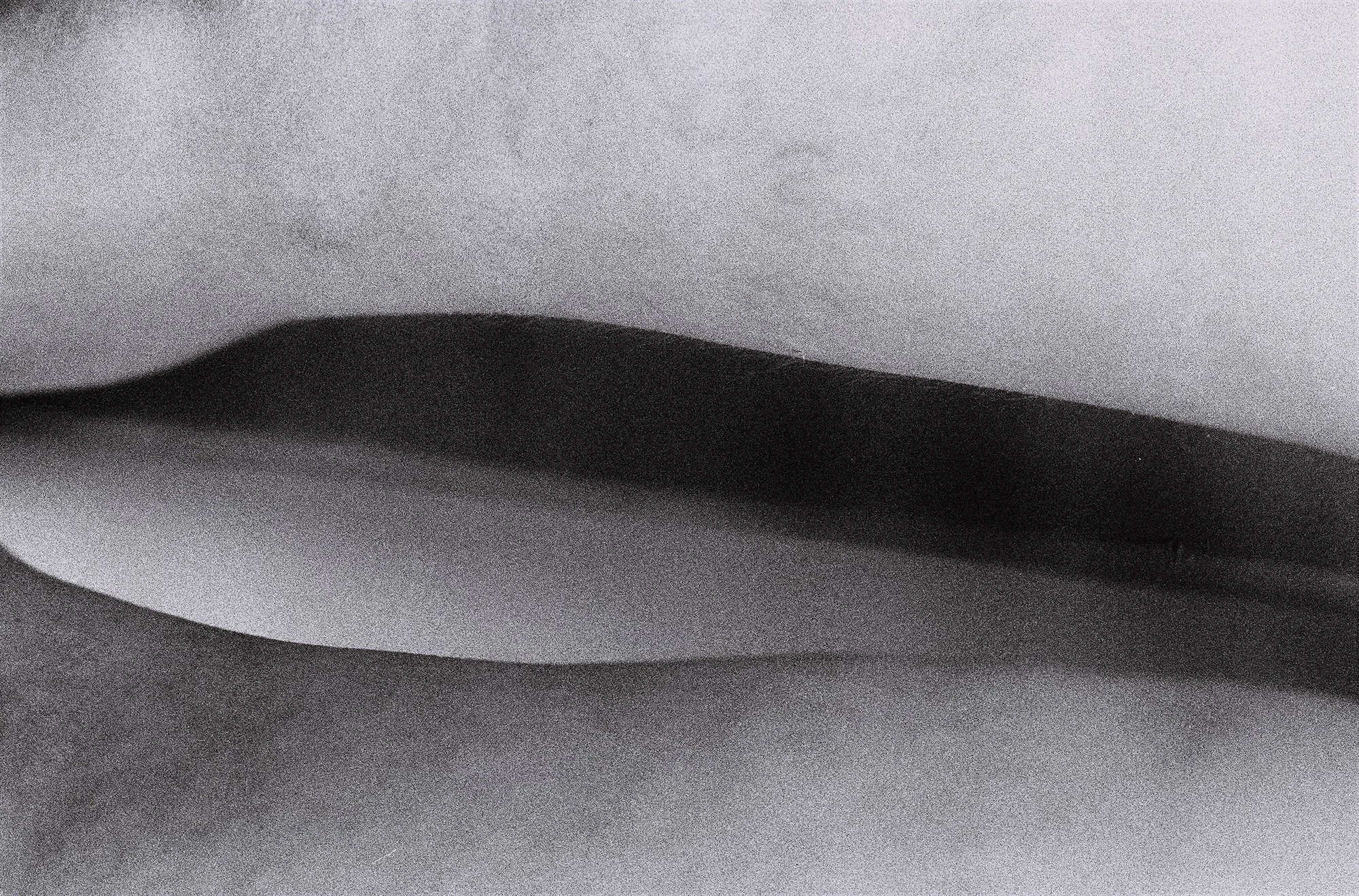 MeD_Moonlight 2, 1980_43.2x60.5cm.jpg