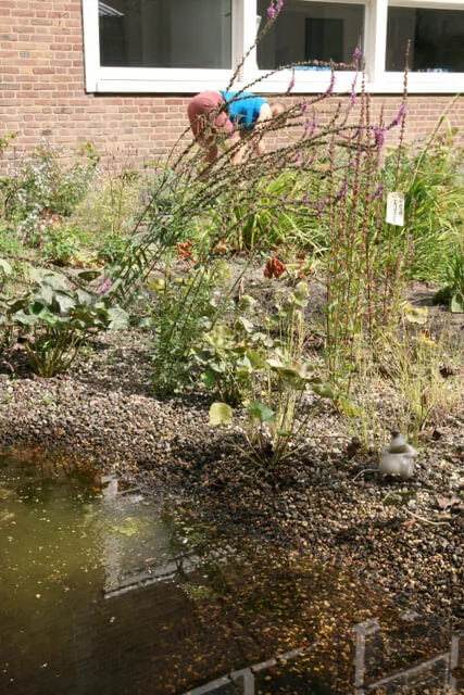 de-tuin-van-jan-aan-de-slag-2.jpg