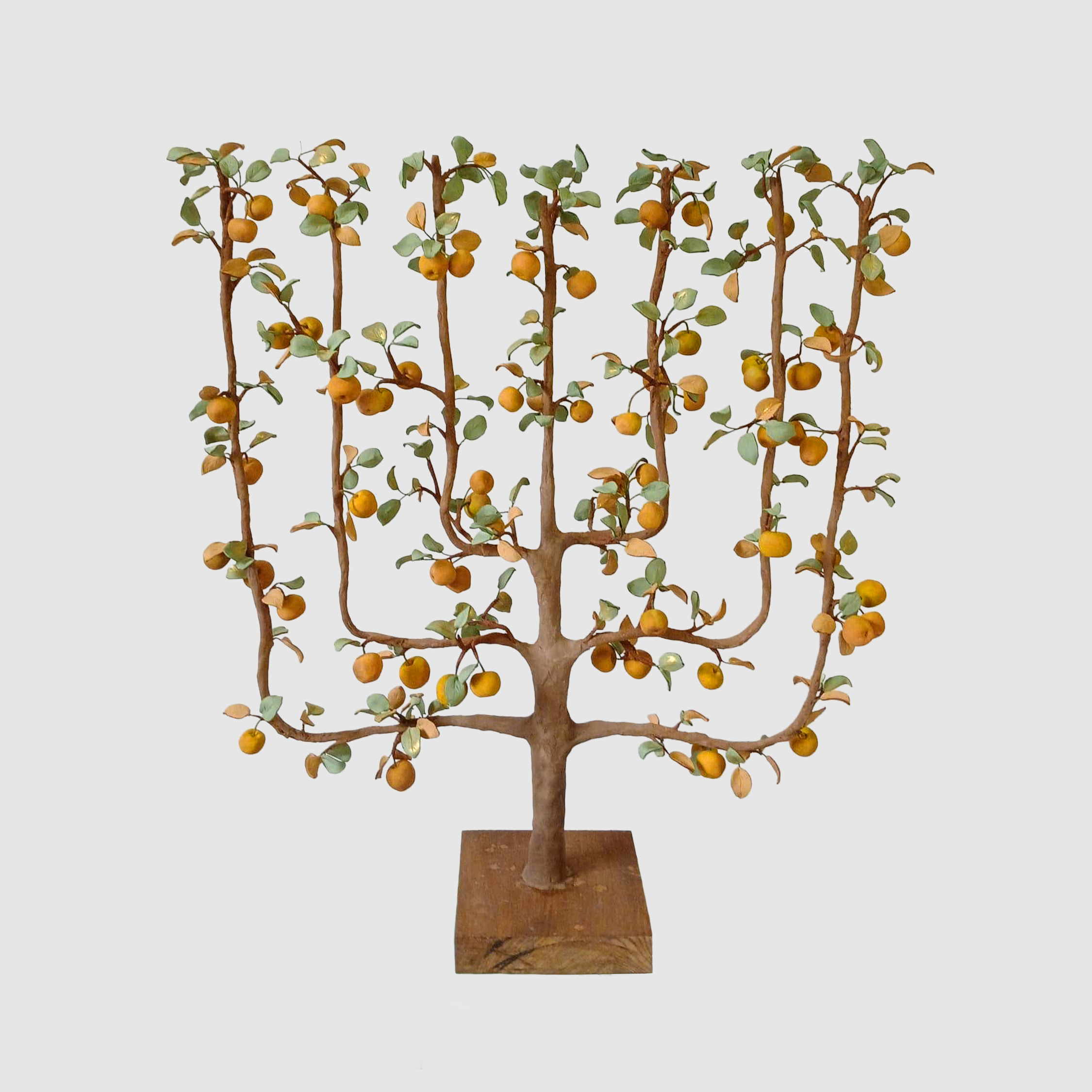 Espalier product photo