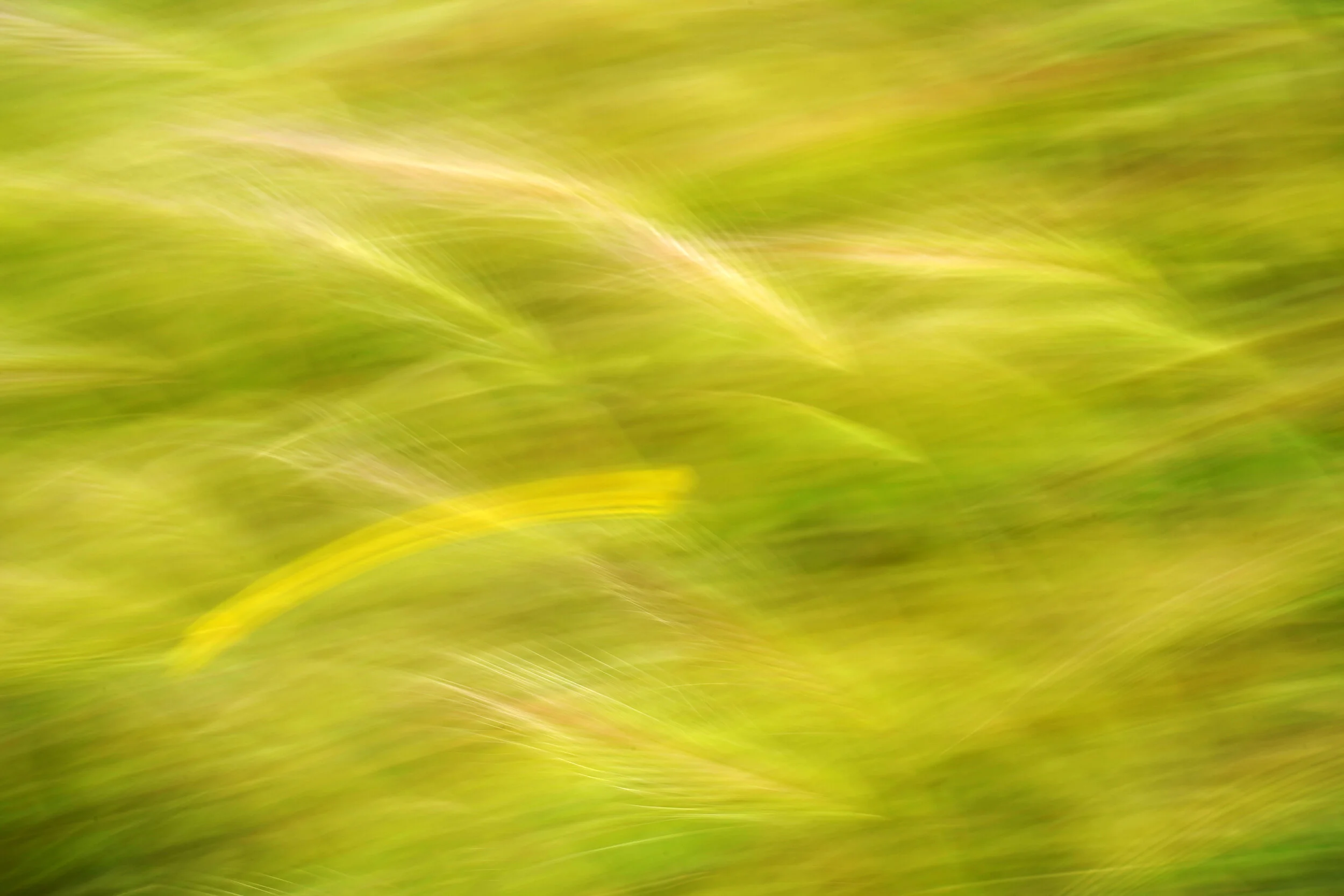 8C912591-A65E-470F-B8B8-71D7B79137F6.jpeg